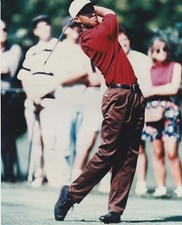 Tiger woods 8x10 for sale  Massapequa