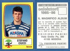 Figurina calciatori panini usato  Perugia