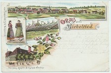 Litho biebelried brauerei gebraucht kaufen  Kist