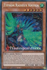 Typhon radieux krosea d'occasion  France