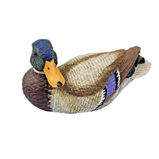 Heavy mallard duck for sale  Omaha