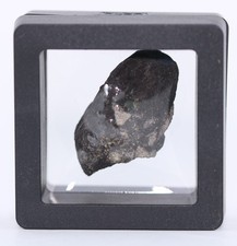 Stegosaurus dinosaur fossil for sale  West Valley City