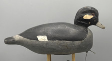 Working bufflehead hen for sale  Franklin
