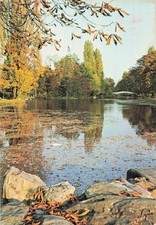 Vesinet ibis automne d'occasion  France