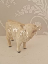 Beswick charolais calf for sale  LIVERPOOL