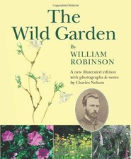 Wild garden william for sale  ROSSENDALE