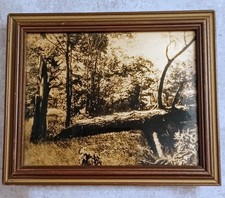 Vtg antique orotone for sale  Tarkio