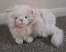 Keel white cat for sale  UK