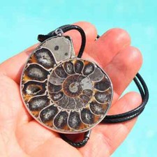 Collier pendentif ammonite d'occasion  Castello-di-Rostino