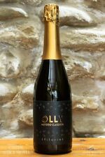 Olly brut vino usato  Riolo Terme