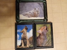 Framed wolf pictures for sale  Metamora