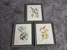 Vtg lot audubon for sale  Omro