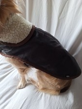 Winter hundemantel warmfutter gebraucht kaufen  Rüdesheim am Rhein