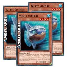 White sunfish comune usato  Ravenna