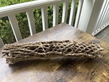 Cholla cactus wood for sale  Lebanon