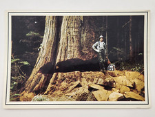 Vintage post card for sale  Corvallis