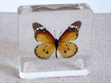 Butterfly resin block. for sale  BURY ST. EDMUNDS