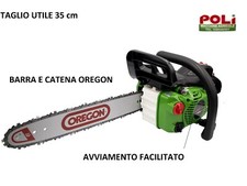 Active motosega 31.31 usato  Massa
