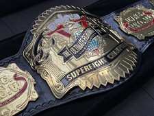 Ufc 1995 superfight for sale  Mesa