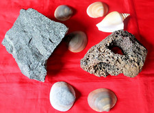 Ensemble deco aquarium d'occasion  Saintes