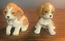 puppies pups for sale  Elmore