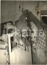 1956 palizzi marina usato  Milano