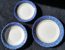 Luminarc arcopal feston gebraucht kaufen  Bayreuth