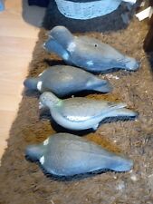 Used wood pigeon for sale  WIRRAL