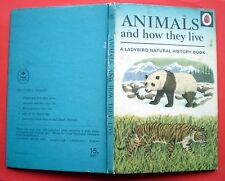 Animals live ladybird for sale  CHICHESTER