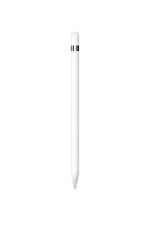 Apple pencil venduta usato  Ghedi