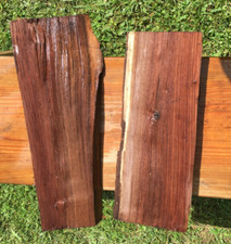 Black walnut blank for sale  Head Waters