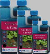 Labs anti parasite for sale  KETTERING