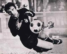 Dino zoff signed usato  Montesilvano