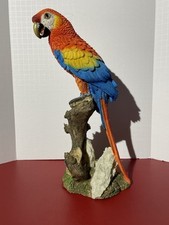Macaw parrot tropical for sale  Lima