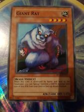 Yugioh giant rat gebraucht kaufen  Speichersdorf