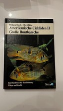 Amerikanische cichliden große gebraucht kaufen  Lichtenfels