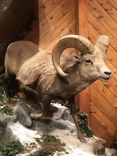 Full mount stone for sale  Voorheesville