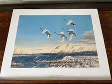 Owen gromme early for sale  Zeeland