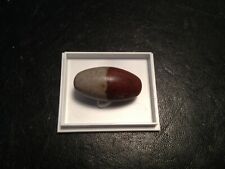 Shiva lingam indien gebraucht kaufen  Leipzig