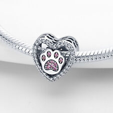Paw cat dog for sale  EXETER