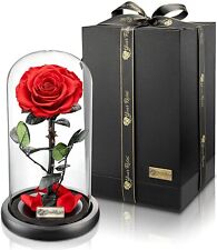 Konservierte rose glas gebraucht kaufen  Meckenbeuren