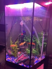 60l hexagon black for sale  NOTTINGHAM