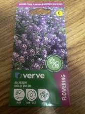 Verve allyssum violet for sale  CROYDON