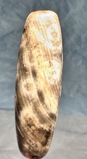 Tibetan eye old for sale  Fort Lauderdale
