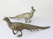 pheasant bird for sale  SALISBURY