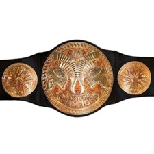Wwe tag team for sale  Miami