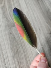 Bunte vogelfeder papageienfede gebraucht kaufen  Haarbach