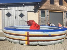 bullriding gebraucht kaufen  Küllstedt