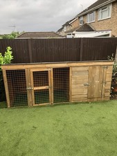 Mercia berkshire dog for sale  KETTERING