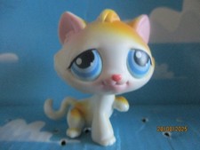 Petshop gutter cat d'occasion  Expédié en Belgium